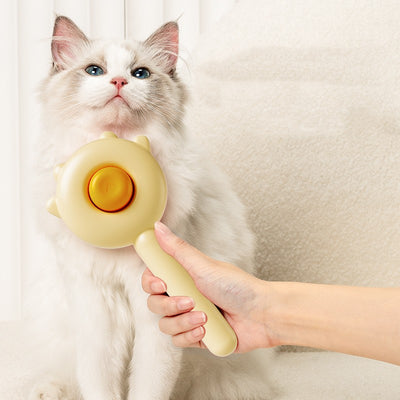 Cat Comb Massage Pet Magic Combs Hair Removal Cat And Dog Brush